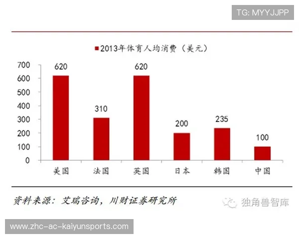 政府与社会资本合作建设体育场馆模式持续推进,政府与社会结合型体育体制
