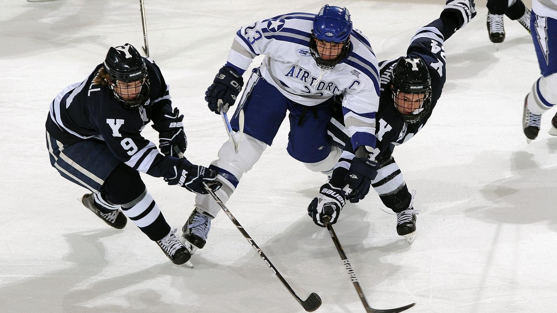 凯尔特人再获最佳团队奖，团队精神获联盟认可，凯尔特人报团